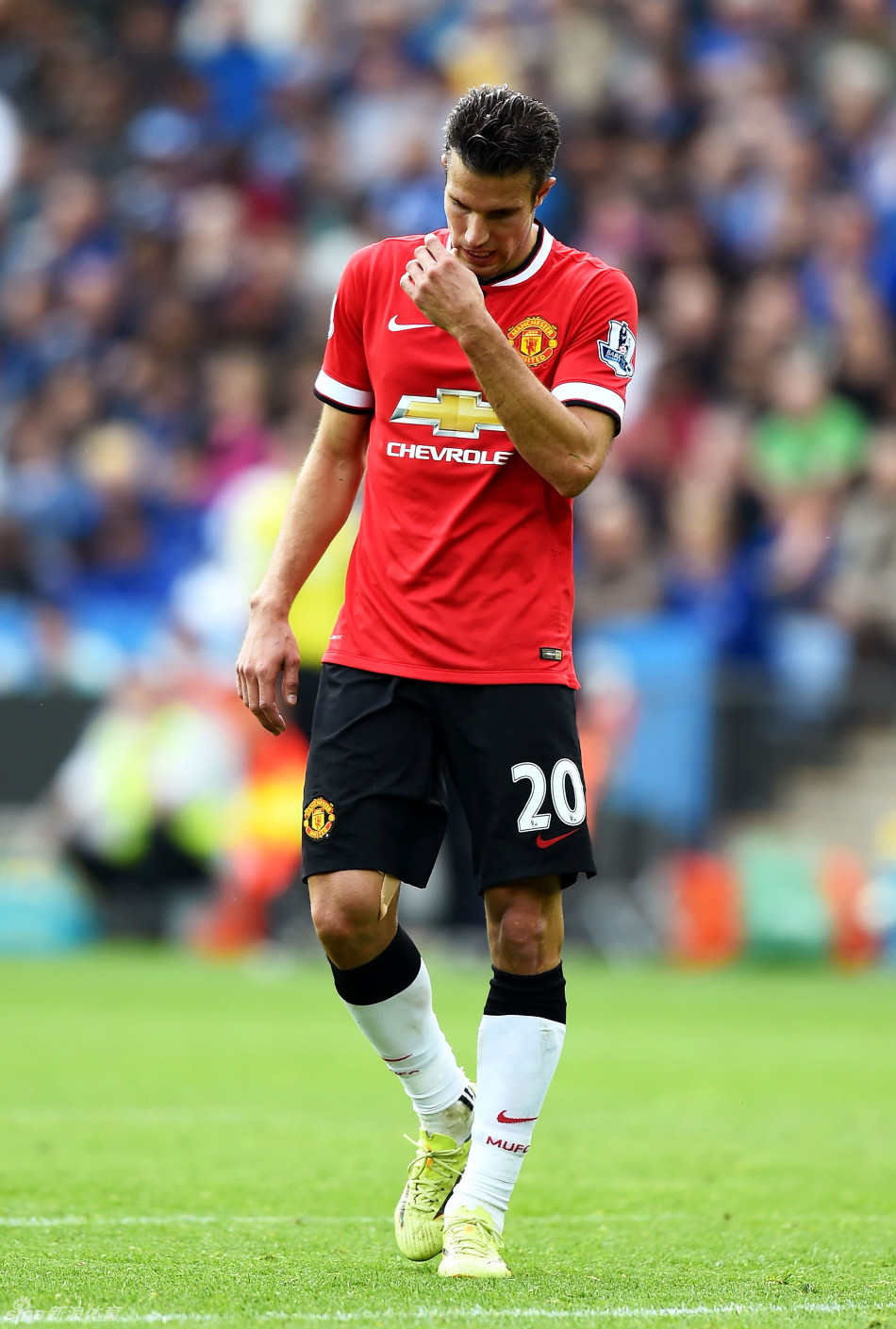 波媒：佛罗伦萨有意斯佩齐亚的波兰国脚维希涅夫斯基（波兰媒体：佛罗伦萨有意引进斯佩齐亚后卫维希涅夫斯基）