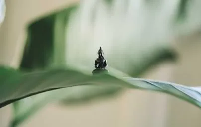 多元互动社区，与全球球迷畅聊精彩 - mk体育